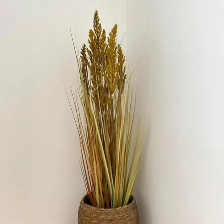 Charming Old Town Szybenik