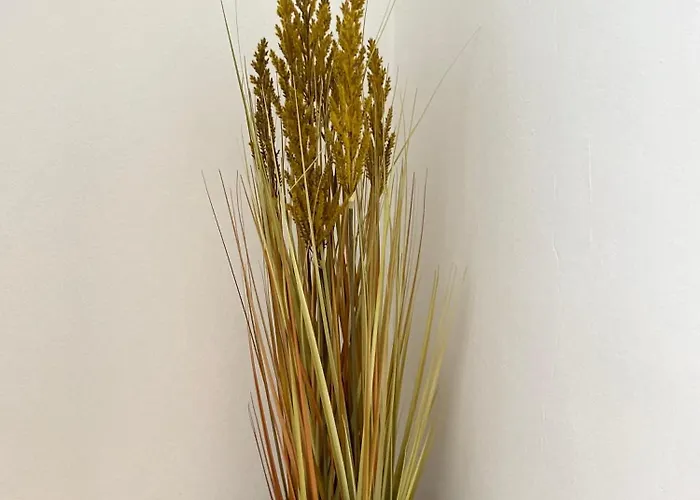 Charming Old Town 시베니크